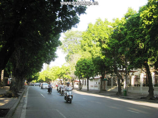 Trần Phú, Ba Đình, Hà Nội
